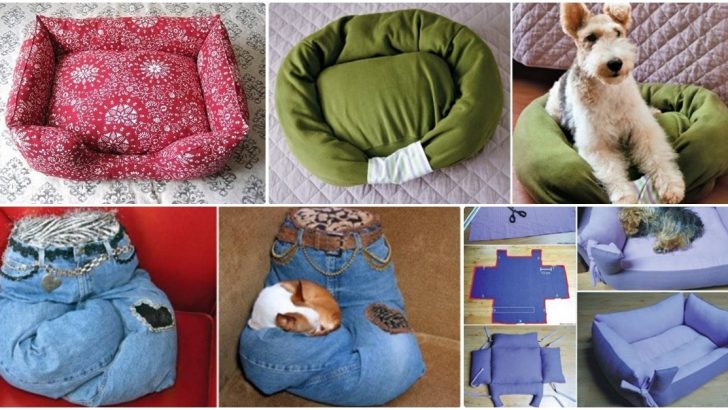 4 Adet Kedi Köpek Yatağı Yapımı Hobiler