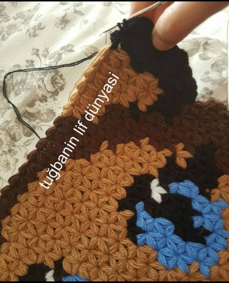 kedi lif