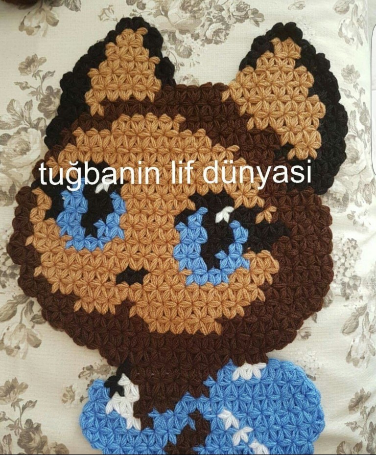 Kedi Lif Yapılışı