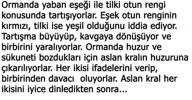 Sizce Suçlu Kim?