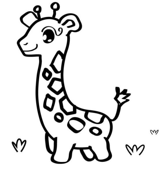 Yavru Zürafa Boyama Sayfası