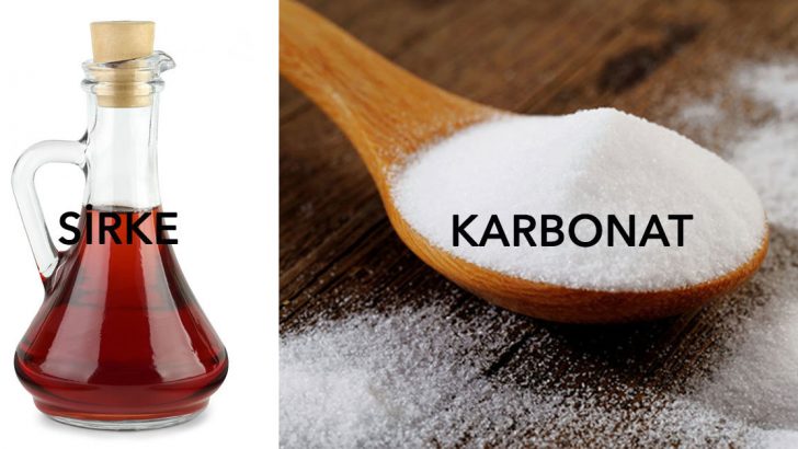 Sirke ve Karbonatın Bilinmeyen 15 Mucizesi